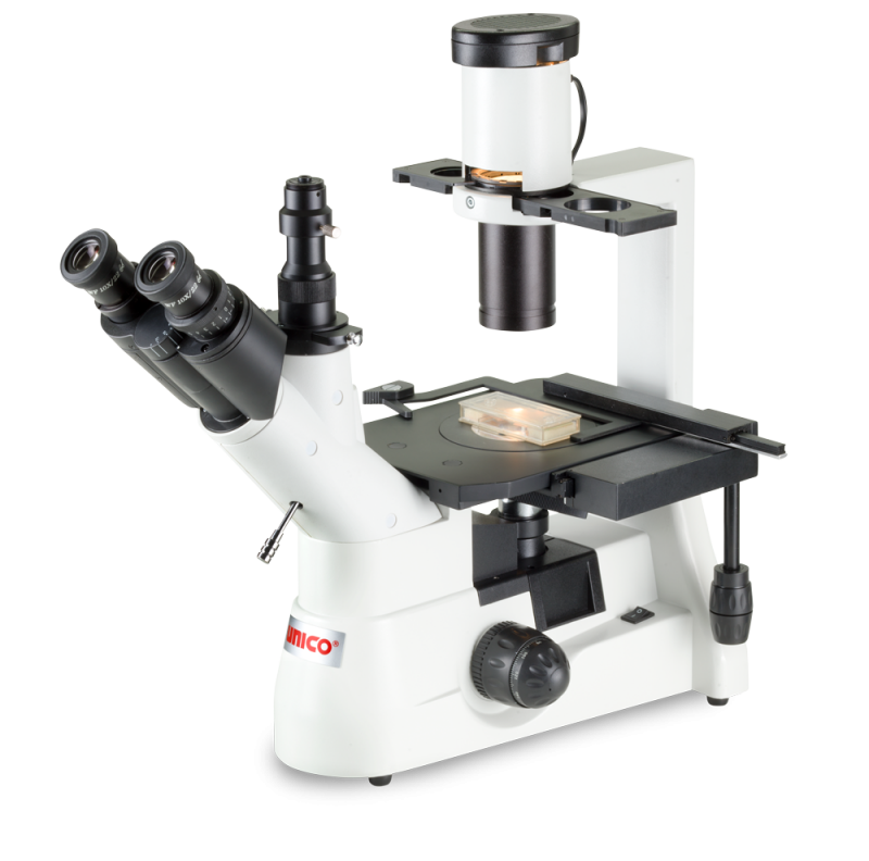 Микроскоп инвертированный бинокулярный IV951 Микроскопы и лупы
