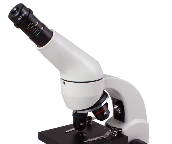 Блок бинокулярного микроскопа без оптики IP730-3004 Диспергаторы и гомогенизаторы